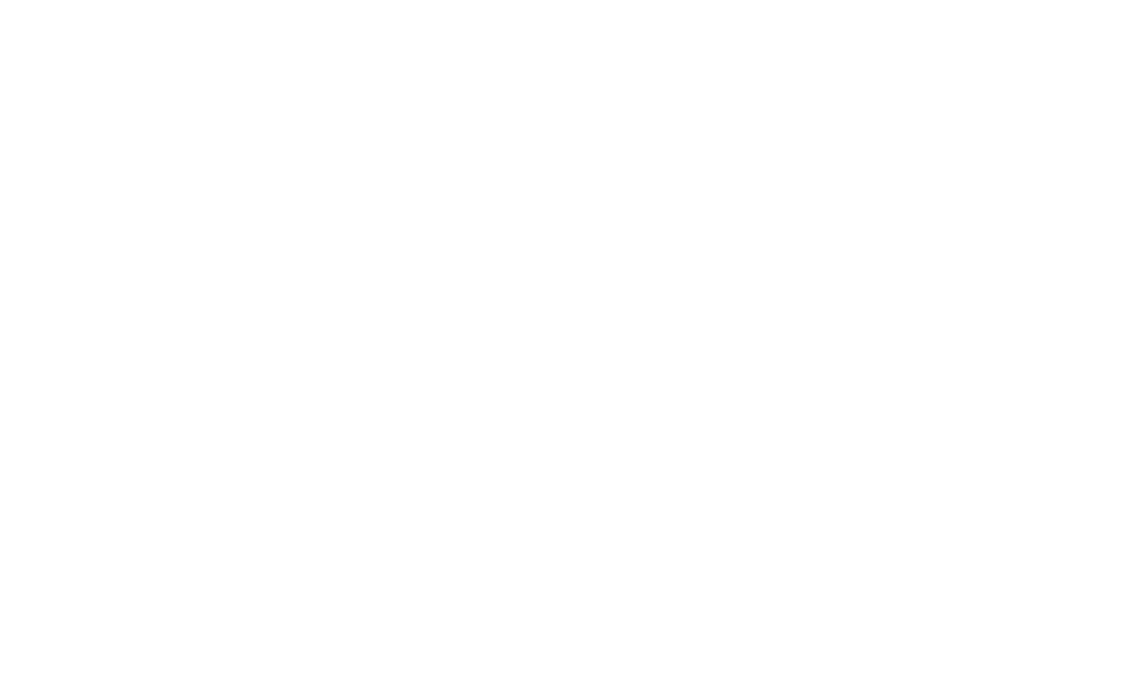 Serendip Inc.